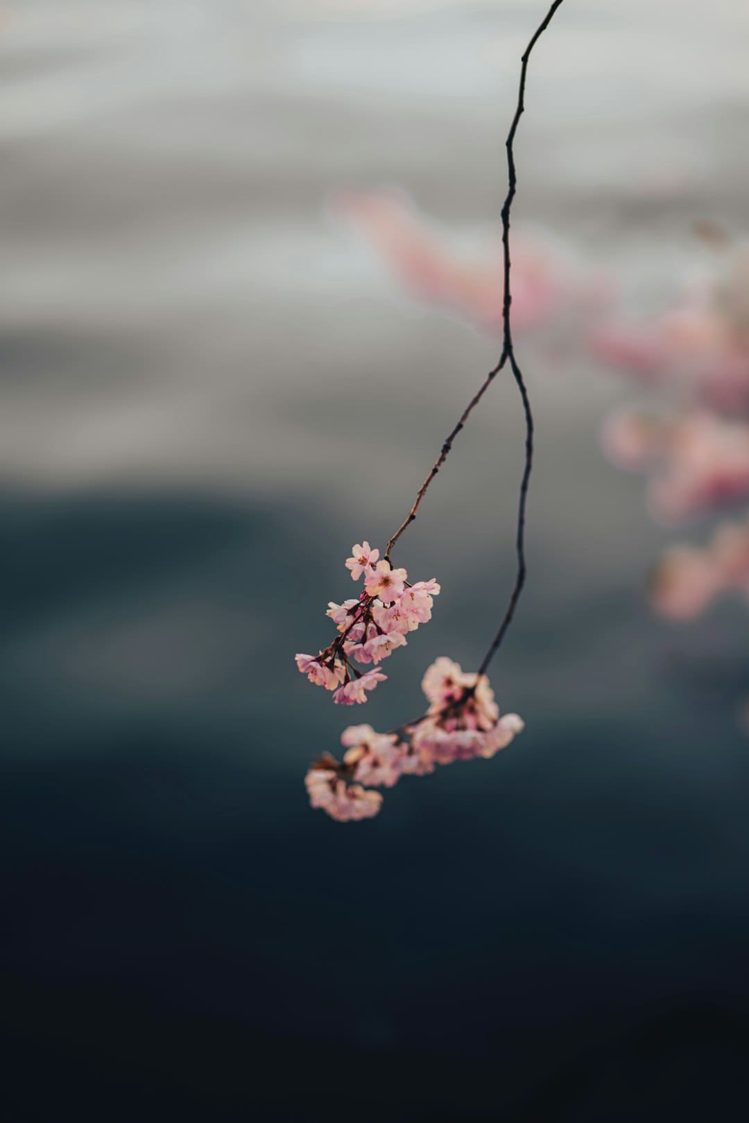 漳浦：告别排长龙 “潮汐窗口”高效灵活